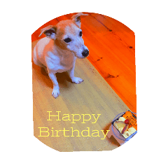 amber_20251006194207