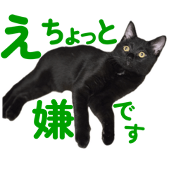 ururun_20251007121222