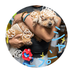 chocotan_20251007123431