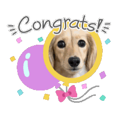 ratetuna_20251007131923