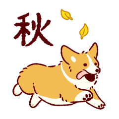 秋もコーギーが可愛い