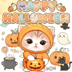 飛び出す！スコティッシュ猫 みかん服