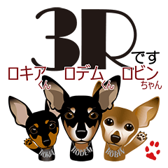 mamepin321*rodem&robin&rokia.ver