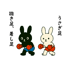 奄美キックボクシングジム 3