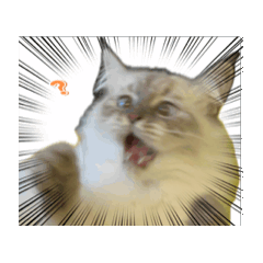 akane_20251007135826