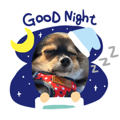 Yuina_20251007044651