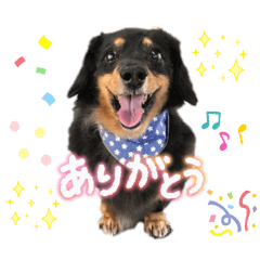 yumi_20251007071922