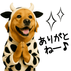 Golden Retriever Onesie  Quick Replies