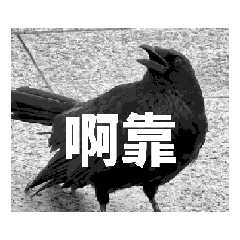 PR Lu_20251007121452