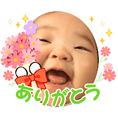 hana_20251007135524
