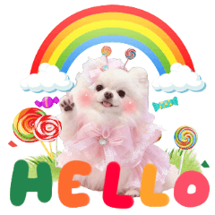 MIA小公主日常用語