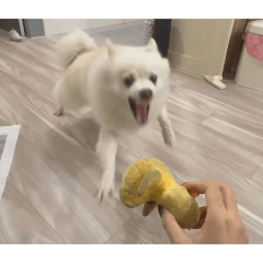 噗妮第四彈之懶得裁圖