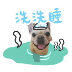 可愛的安德森與安琪拉兄妹 - 4