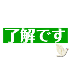 MINORIN_20251007155056