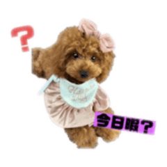 YUMI_20251007155529