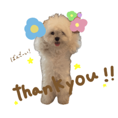 asuka_20251007155906