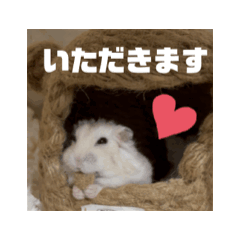 動くむなハムその2。