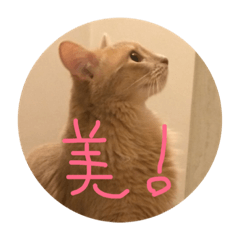 komimona