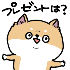 岡山弁を喋る柴犬(赤)の冬2025