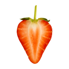 カットフルーツ♩文字なしスタンプ