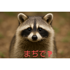 Lemon_20251007145214