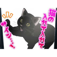 TV animation "NYAIGHT OF THE LIVING CAT"