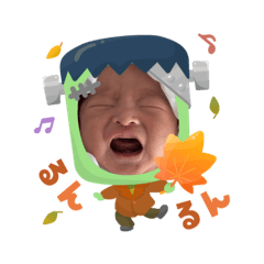 maple_20251007193101