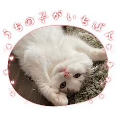 happy_20251007150833