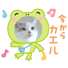 chamsuke_20251007205057