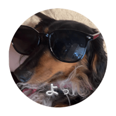 Hiyori_20251007194149