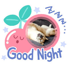 Rantyantatinoorizinarusutanpu