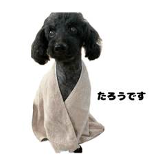 nananan_20251007200559