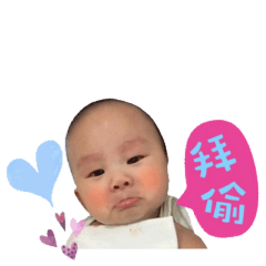 寶貝仔的日常