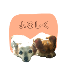 mizuki_20251007221429