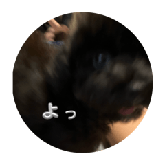 Hiyori_20251007181836