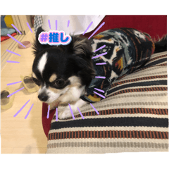 sososo_20251007203321