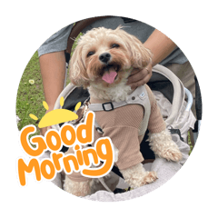 Haruka_20251007233049