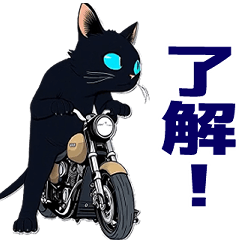 バイク猫くろ