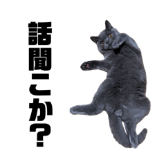 ayame_20251008003440