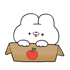 おにゃんこにょんこ（日常）