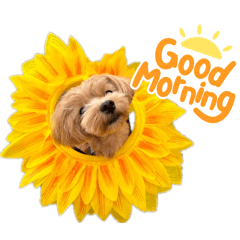 nagisa_20251007180858