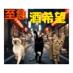 an_20251007181908
