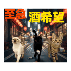 お酒とネコ好きな日常会話68