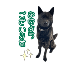 LEMONADE_20251007210802