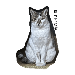 tAkumi_20251007235032