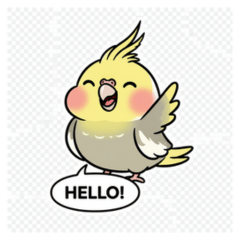 Chirpy Cockatiel! Cute Daily Stickers