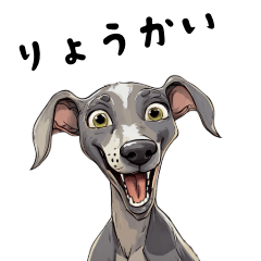 Everyday Usable Cute Adult ItaGre