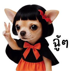Cute Chihuahua Girl Halloween