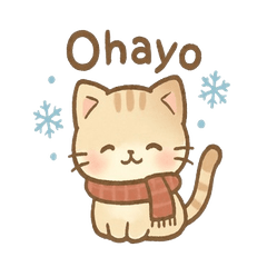 Winter Kitty Talk