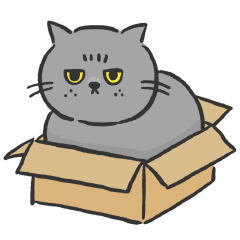 むっちり猫のブリたん